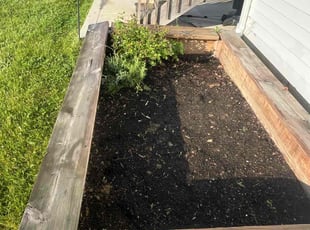 Weeding by Cameron Cordell for Brent B. in Plain City, OH