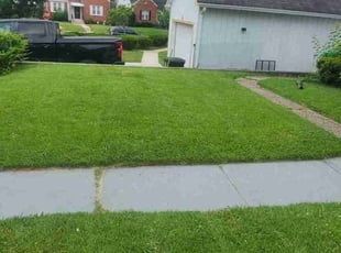 Rachel H.'s Lawn Mowing service result