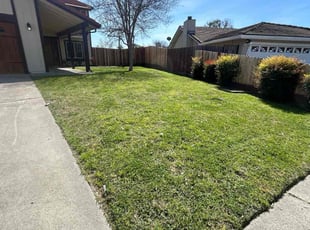 Lisa S.'s Lawn Mowing Service service result