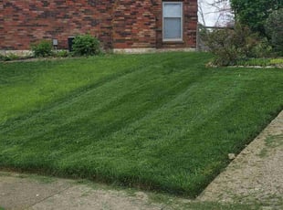 Kelley R.'s Lawn Maintenance service result