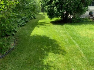 Diane B.'s Lawn Maintenance service result