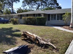 Bush Trimming by Robert Lee for Gayle R. in Sarasota, FL