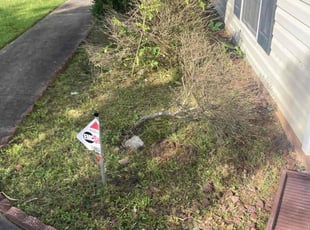 Bush Trimming by Willie Cade for Laura S. in Loganville, GA