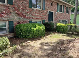 Bush Trimming by Jeffrey Curtis for Tonya M. in Riverdale, GA