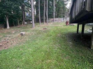 Bush Trimming by Shani James for Jefferina W. in Riverdale, GA