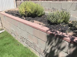 Leaf Removal by Fernando Parra for Jehrand C. in San Diego, CA