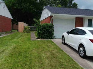 Bush Trimming by Mitchell Johnson for Nathaniel D. in Cincinnati, OH