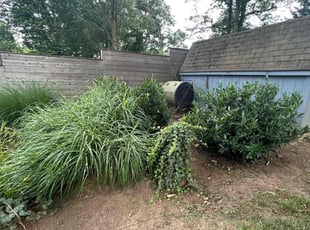 Weeding by Angel P. for Sam S. in Springfield, VA