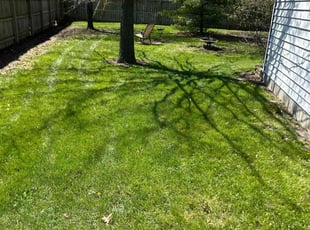 Carey v.'s Lawn Care service result