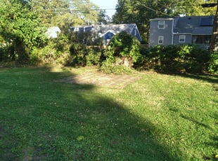 Leaf Removal by Julio Almestica for Nellie M. M. in Kansas City, MO