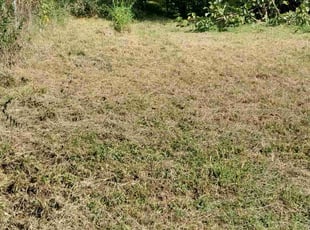 Cleanups by Mark Redden for Xavier S. in Atlanta, GA
