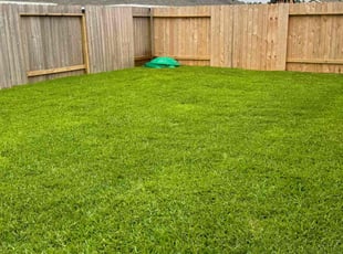 Dana C.'s Lawn Care service result