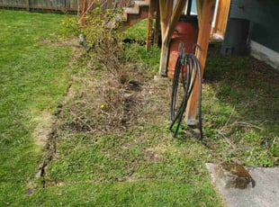 Cleanups by Dominique Ford for Chris W. in Seattle, WA