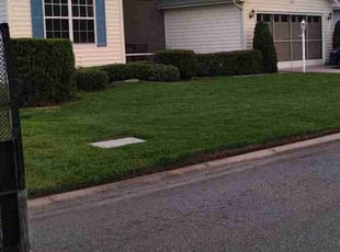 Bush Trimming by Robert Nelams for Paul S. in Leesburg, FL