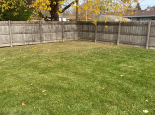 Leaf Removal by Terrance Davis for Yontel L. in Glendale, WI