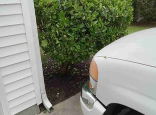 Bush Trimming by Joshua Karnes for Garrett W. in Summerville, SC