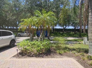 Bush Trimming by Rick Buricca for Nelson C. in Delray Beach, FL