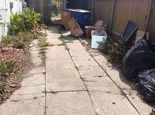 Leaf Removal by Teodoro Leija for Harel S. in Austin, TX