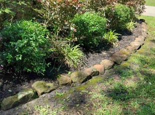 Weeding by Daiby Alvarez for Chris S. in Porter, TX