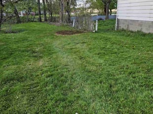 Leaf Removal by Thomas Abney for Jane P. in Akron, OH