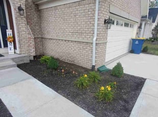 Weeding by Michael McDaniel for Moise D. in Indianapolis, IN