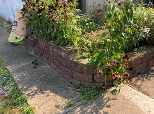 Cleanups by Ed Michinski for Alex B. in Wilkes-Barre, PA