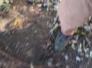 Leaf Removal by Patrick SMITH for Jamauria S. in Cincinnati, OH