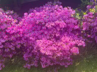 Cleanups by Dwayne Hope for Rhonda S. in Edgewood, MD