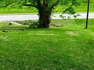 Keila &.'s Lawn Service service result