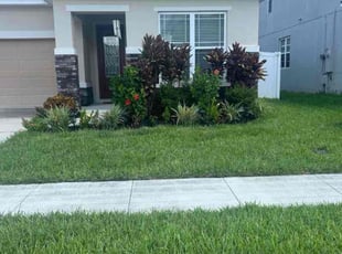 Annette F.'s Lawn Mowing Service service result