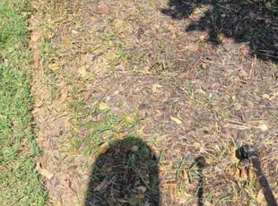 Weeding by Denise Santana for Carolyn R. in Cartersville, GA