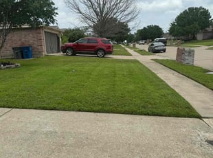 Aliye L.'s Lawn Mowing Service service result