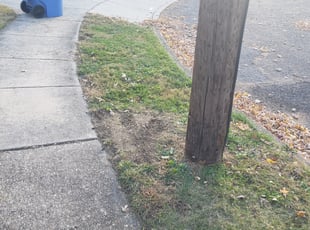Leaf Removal by Jamil Hafeeza for Jared C. in Cherry Hill, NJ