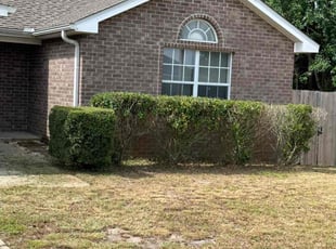 Bush Trimming by Marque Smith for Josh F. in Gulf Breeze, FL