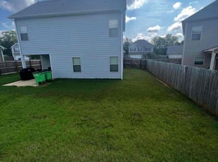 Antonio O.'s Grass Cutting service result