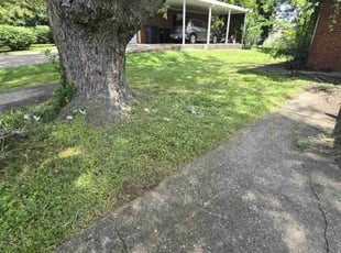 Cleanups by Angela Kaufman for Keith B. in New Albany, IN