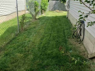 Bernardo C.'s Lawn Care service result