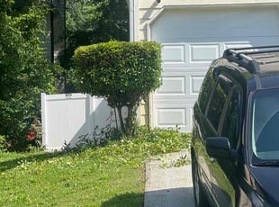 Bush Trimming by Louis Sampson for Sydni H. in Austell, GA