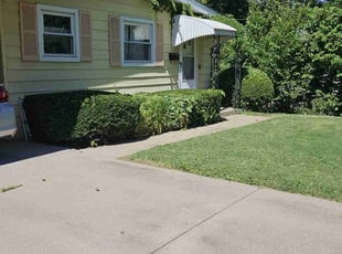 Bush Trimming by Cameron Lewis for Cathy M. in Kansas City, KS