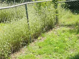 Cleanups by Megan Cabrera for Travis B. in Wichita Falls, TX