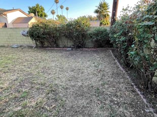 Bush Trimming by Jorge Hernandez for Jolie T. in La Puente, CA