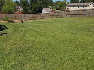 Terry T.'s Lawn Service service result