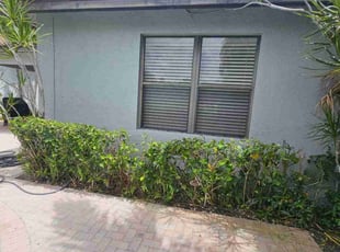 Bush Trimming by Rick Buricca for Jillian K. in Boca Raton, FL