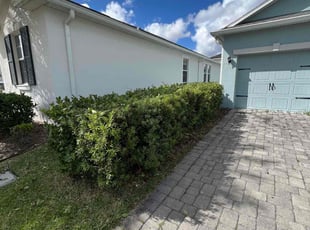 Bush Trimming by Buck Robinson for Allen F. in Kissimmee, FL
