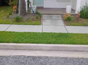 Marcy B.'s Lawn Mowing service result
