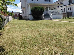 Amy W.'s Lawn Mowing service result