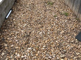 Leaf Removal by Cavion Garner for Alfredo S. in Austin, TX