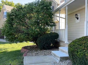 Bush Trimming by Scott Culala for Isaac N. in Olathe, KS
