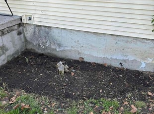 Landscaping by Laray Shipman for Karega H. in Detroit, MI