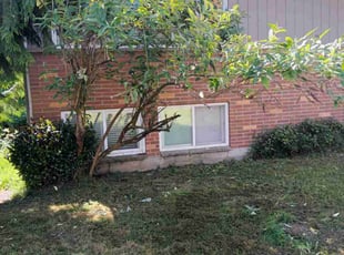 Bush Trimming by Suzy Starkey for Robyn V. in Des Moines, WA